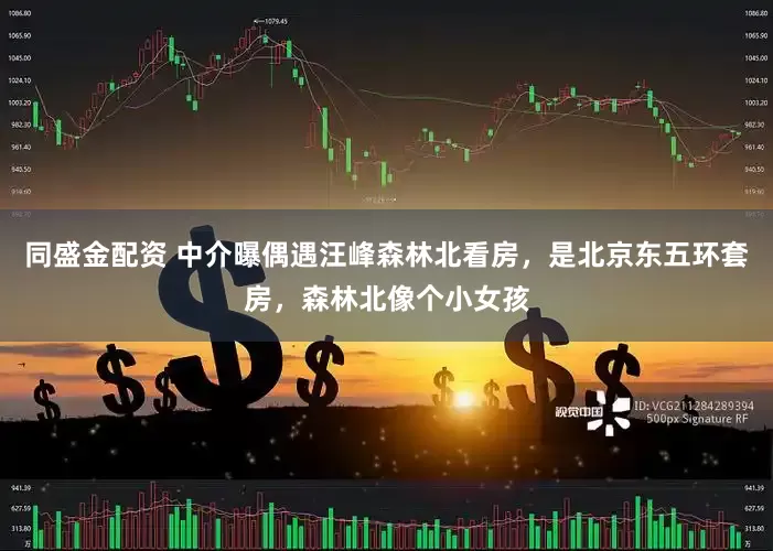 同盛金配资 中介曝偶遇汪峰森林北看房，是北京东五环套房，森林北像个小女孩