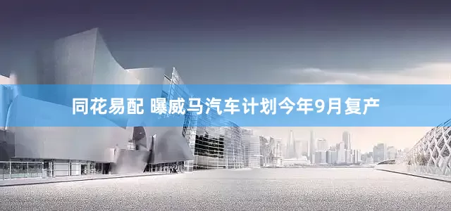 同花易配 曝威马汽车计划今年9月复产