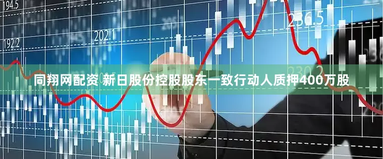 同翔网配资 新日股份控股股东一致行动人质押400万股