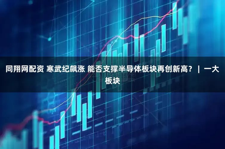 同翔网配资 寒武纪飙涨 能否支撑半导体板块再创新高? | 一大板块
