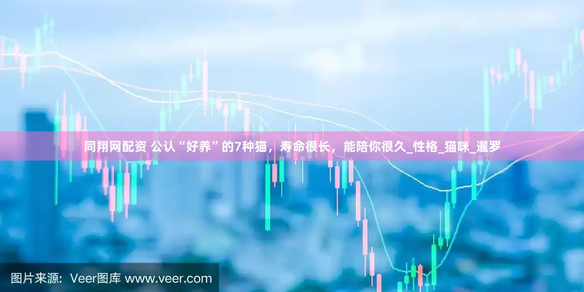 同翔网配资 公认“好养”的7种猫，寿命很长，能陪你很久_性格_猫咪_暹罗